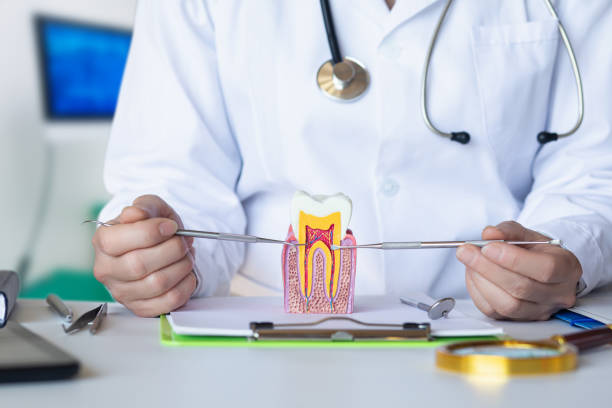 Best Broken Tooth Emergency  in Crystal Lawns, IL
